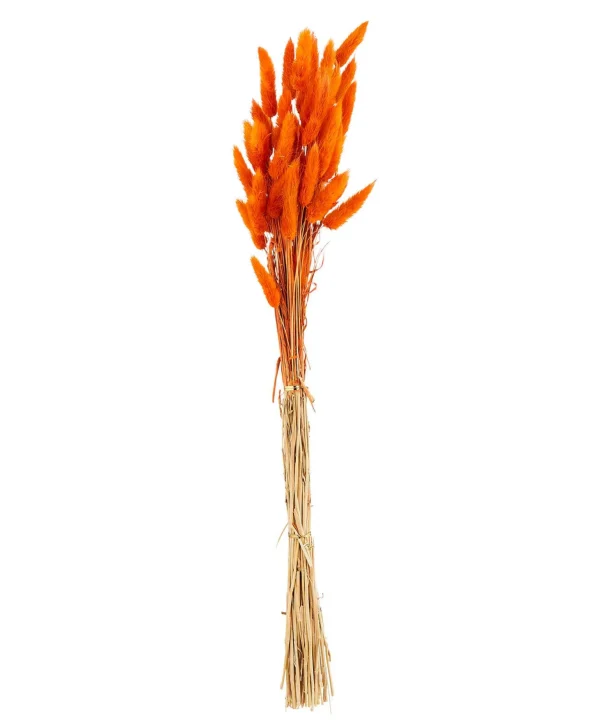 Floral Décor | Half Price Christmas Styles | Home | Home Joe Browns Beautiful Faux Bunny Tail Grass Rust / Dk Green / Fuchsia / Mustard / Multi / Red / Blue / Black / Lilac