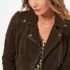 Shop Women's Collection | Leather Jackets & Clothing | Top Picks | Women's Joe Browns Sensational Suede Jacket Chocolate Brown