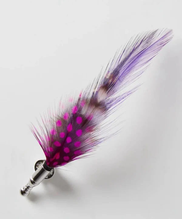 Accessories | Men,s Joe Browns Vibrant Feather Pin Multi