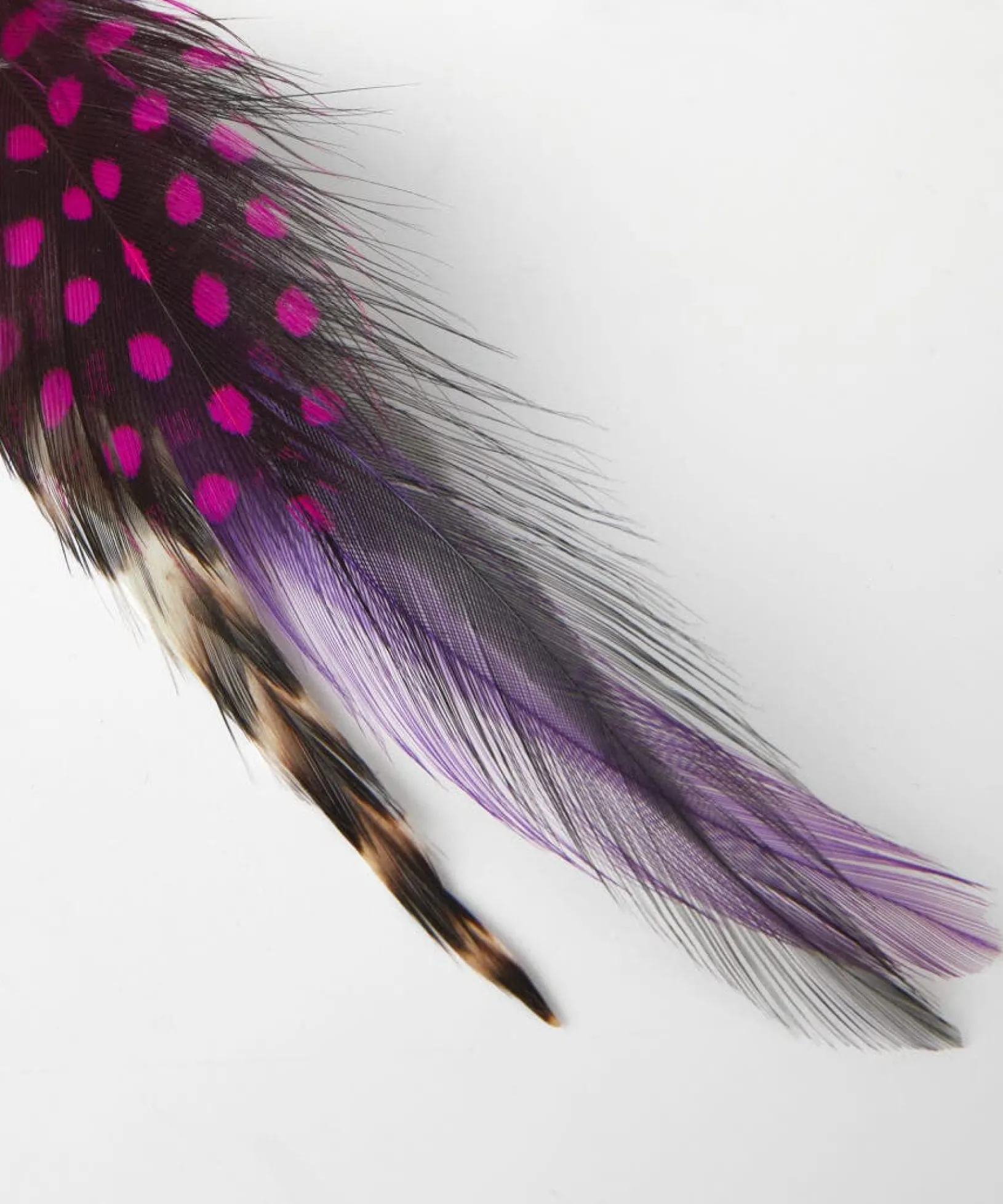 vibrant_feather_pin_1.webp Accessories | Men,s Joe Browns Vibrant Feather Pin Multi
