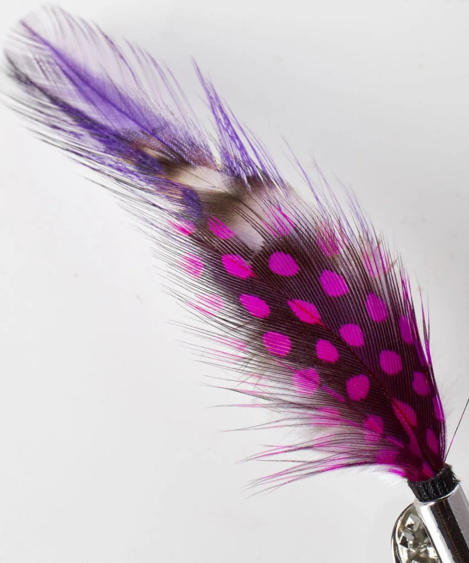 vibrant_feather_pin_2.webp Accessories | Men,s Joe Browns Vibrant Feather Pin Multi